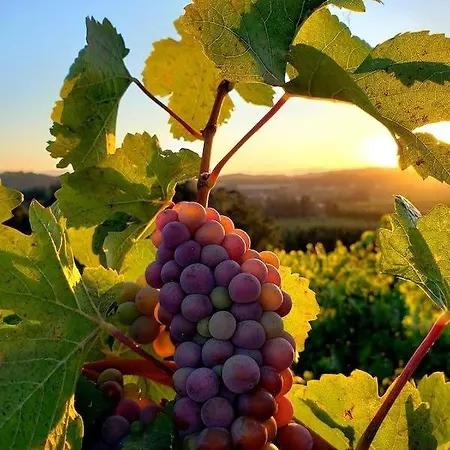 Cosy - Proche Bordeaux Villa *